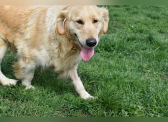 Suzy ein Herz das endlich ankommen möchte