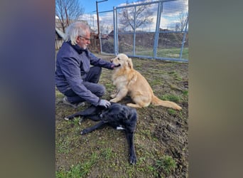 Jonathan Sensibelchen