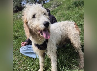 Oleg - ruhiger, feiner Bub