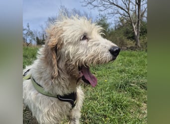 Oleg - ruhiger, feiner Bub