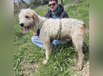 Oleg - ruhiger, feiner Bub