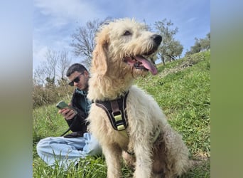 Oleg - ruhiger, feiner Bub