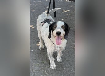 Luna möchte endlich ankommen dürfen…