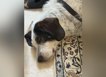 Luna möchte endlich ankommen dürfen…