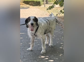 Luna möchte endlich ankommen dürfen…