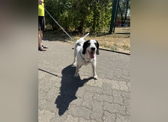 Luna möchte endlich ankommen dürfen…