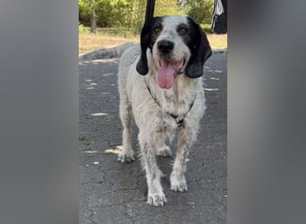 Luna möchte endlich ankommen dürfen…