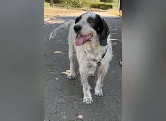 Luna möchte endlich ankommen dürfen…