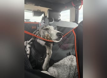 Hypathia - kontaktfreudig und freundlich