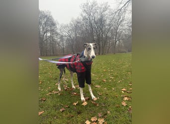 Hypathia - kontaktfreudig und freundlich