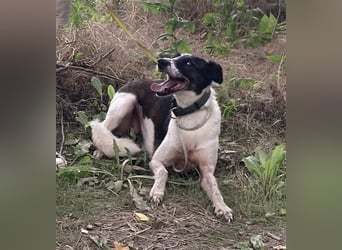 Chiquita, die hübsche braucht unbedingt einen ruhigen Platz