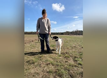 Chiquita, freut sich  auf der Pflegestelle über Besuch