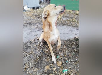 Leonie, auf Pflege in Halle/Westfalen