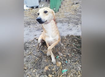 Leonie, auf Pflege in Halle/Westfalen
