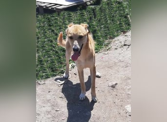Leonie, auf Pflege in Halle/Westfalen