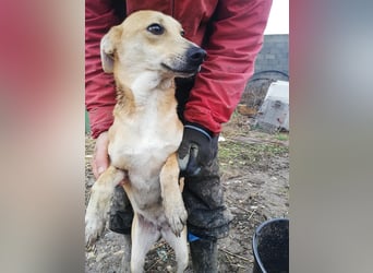Leonie, auf Pflege in Halle/Westfalen