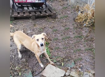 Leonie, auf Pflege in Halle/Westfalen