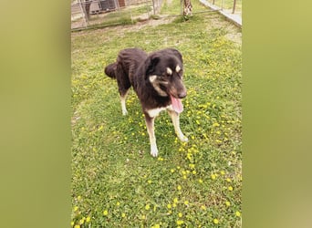 Amy -  sportliche junge Lady mit purer Lebensfreude