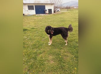 Amy -  sportliche junge Lady mit purer Lebensfreude