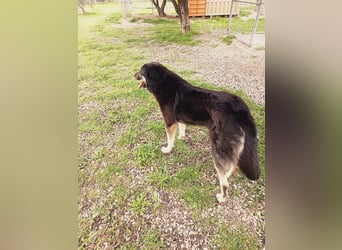 Amy -  sportliche junge Lady mit purer Lebensfreude