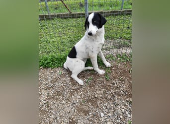 Mia - sucht Zuwendung