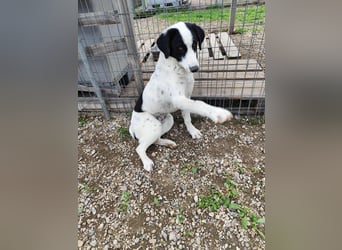 Mia - sucht Zuwendung