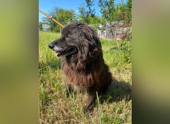 Porthos möchte ankommen