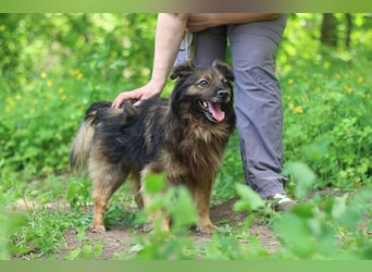 HALE Möchte einfach dazugehören (Ukraine)