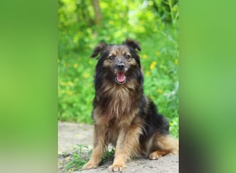 HALE Möchte einfach dazugehören (Ukraine)