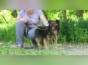 HALE Möchte einfach dazugehören (Ukraine)
