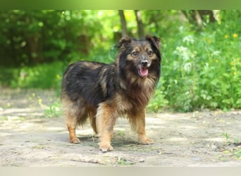 HALE Möchte einfach dazugehören (Ukraine)