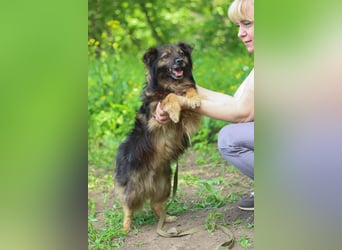 HALE Möchte einfach dazugehören (Ukraine)