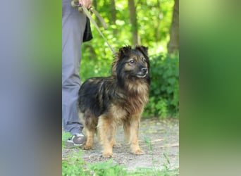 HALE Möchte einfach dazugehören (Ukraine)