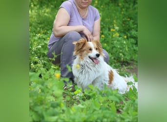 KUZMA Kleiner Pirat mit großem Herzen (Ukraine)