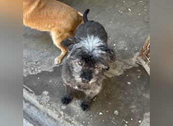 LUKRECIO-SUCHT EIN SICHERES  ZUHAUSE