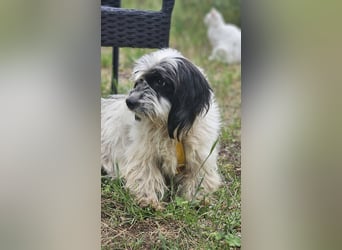 Baily ist bereit Neues zu lernen