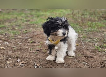 Abby möchte die Welt erobern