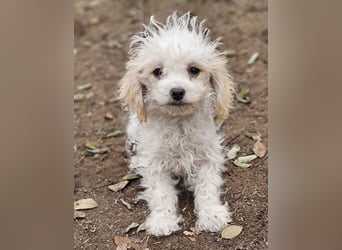 Arion möchte noch viel lernen