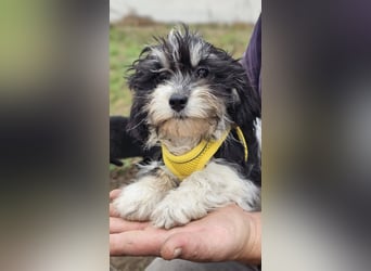 Abby möchte die Welt erobern