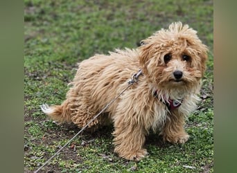 Joella hat ein fröhlichen Wesen