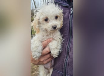 Arion möchte noch viel lernen