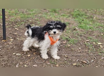 Alexia kennt nicht viel von der Welt