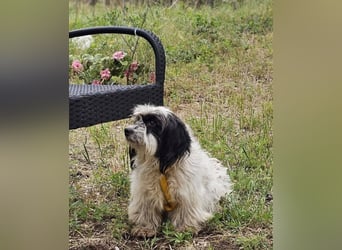 Baily ist bereit Neues zu lernen