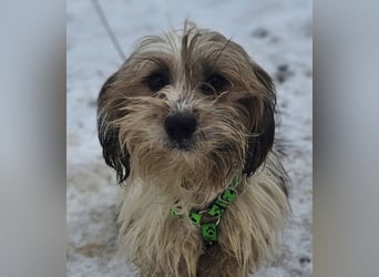 Miniks Leben war oft hart