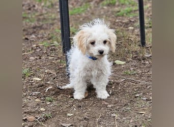 Arion möchte noch viel lernen