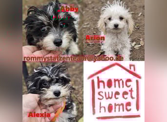 Alexia kennt nicht viel von der Welt