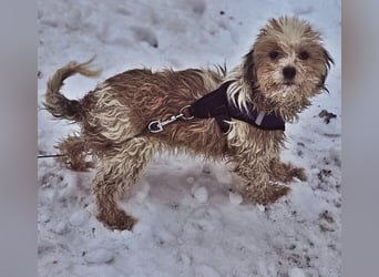 Natassi wird gerne mental gefordert