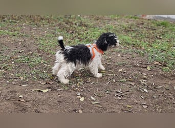 Alexia kennt nicht viel von der Welt