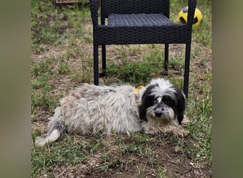 Baily ist bereit Neues zu lernen