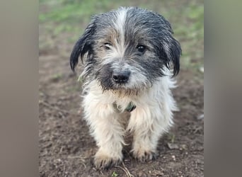 Andrin hat keine schöne Vergangenheit